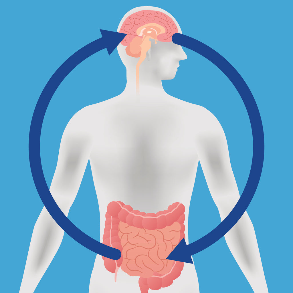 The Gut-Brain Connection