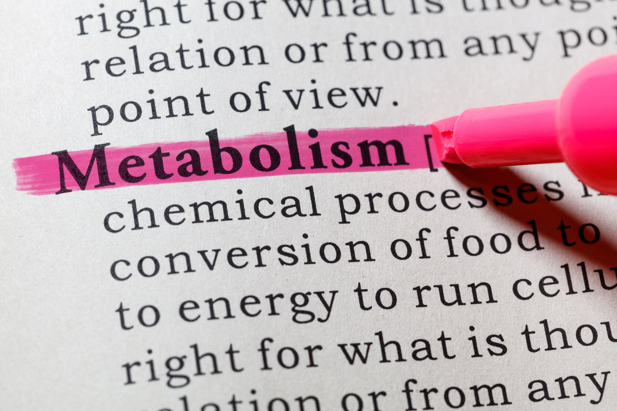image showing written information about metabolism