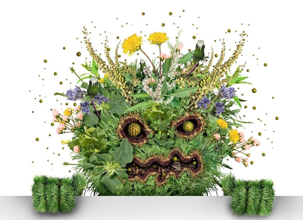 Best Remedies for Spring Allergies