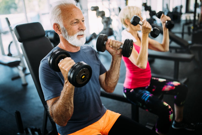 Beautiful view of Prevent Muscle Loss With Collagen